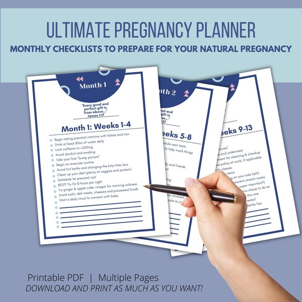 Ultimate Pregnancy Checklist / Monthly Pregnancy Checklist / Pregnancy Planner / Prenatal Planner / Prenatal Guide