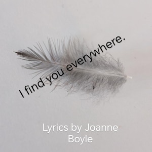 Puede incluir: Una pluma gris con el texto "I find you everywhere." y "Lyrics by Joanne Boyle" sobre un fondo blanco. La pluma tiene una punta gris oscuro y una textura suave y esponjosa.