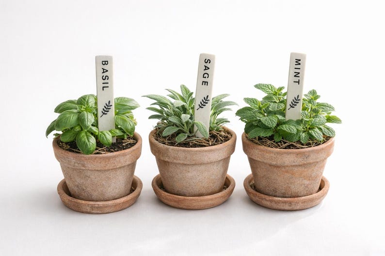Custom Garden Markers