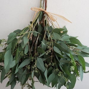 Fresh Seeded Eucalyptus Bunch, Fresh Greenery