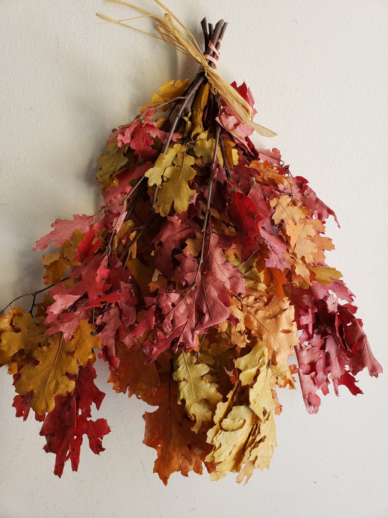 Preserved Oak Leaf Bunch. Fall Leaf Bunch Thanksgiving Decor Etsy