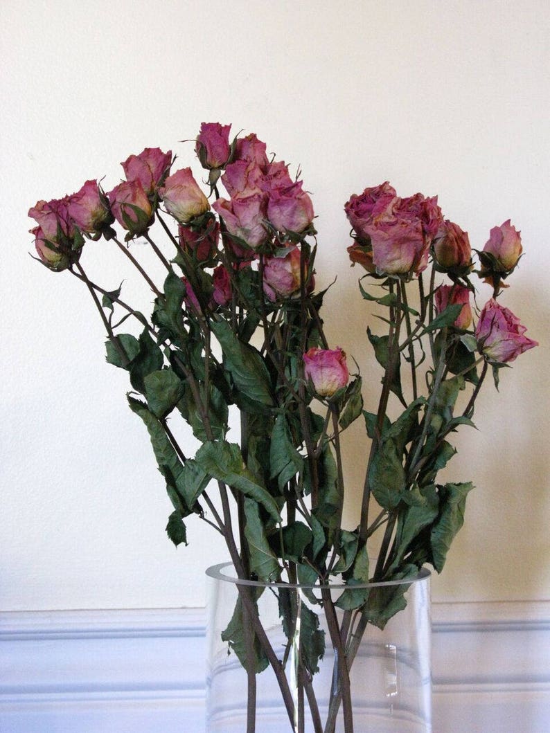 Pink Dried Spray Roses