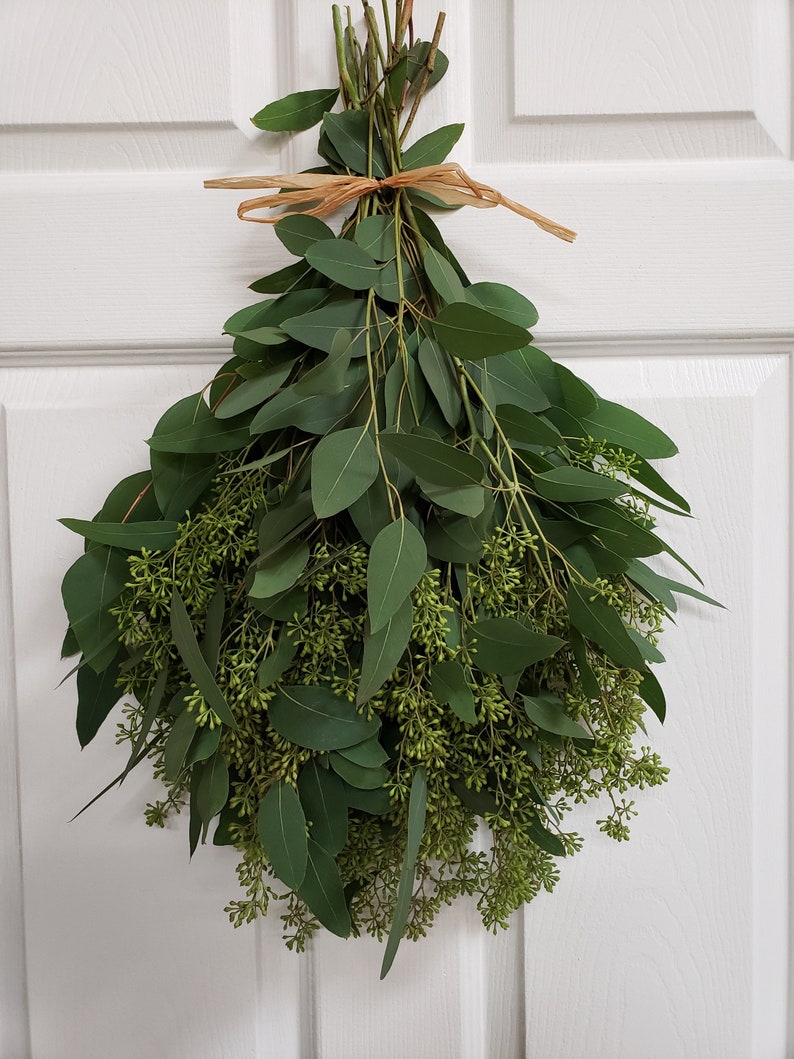 Fresh Seeded Eucalyptus Bunch Fresh Greenery Etsy