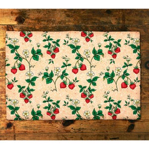 Strawberries placemats set of 2 4 or 6, pastel fruits patterned placemats for botanical table decor, gardener gift for country house decor