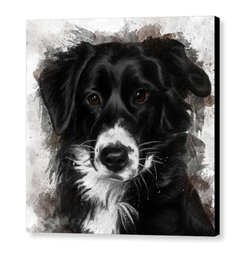 Dessin Berger Australien Noir Et Blanc Tableau berger australien en noir et blanc impression giclée | Etsy