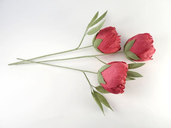 Scarica Gratis Images Pivoine Le Papier Crepon Rouge Bordeaux 3 Pcs Avec Tige Bouquet actualisé par