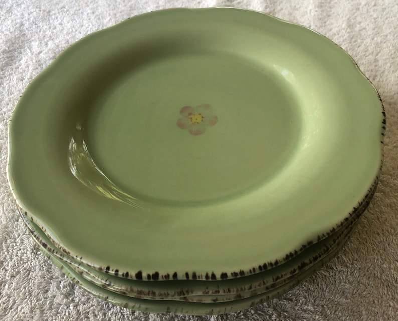 Franciscan Flora Earthenware Plates