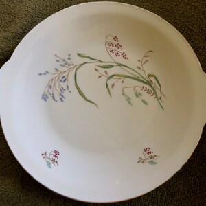 Eschenbach Porcelain W337 vegetable serving plate with handles
