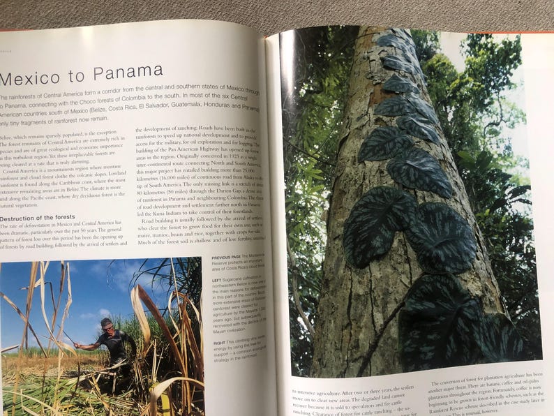 Rainforest Hardback Book, Large - Etsy