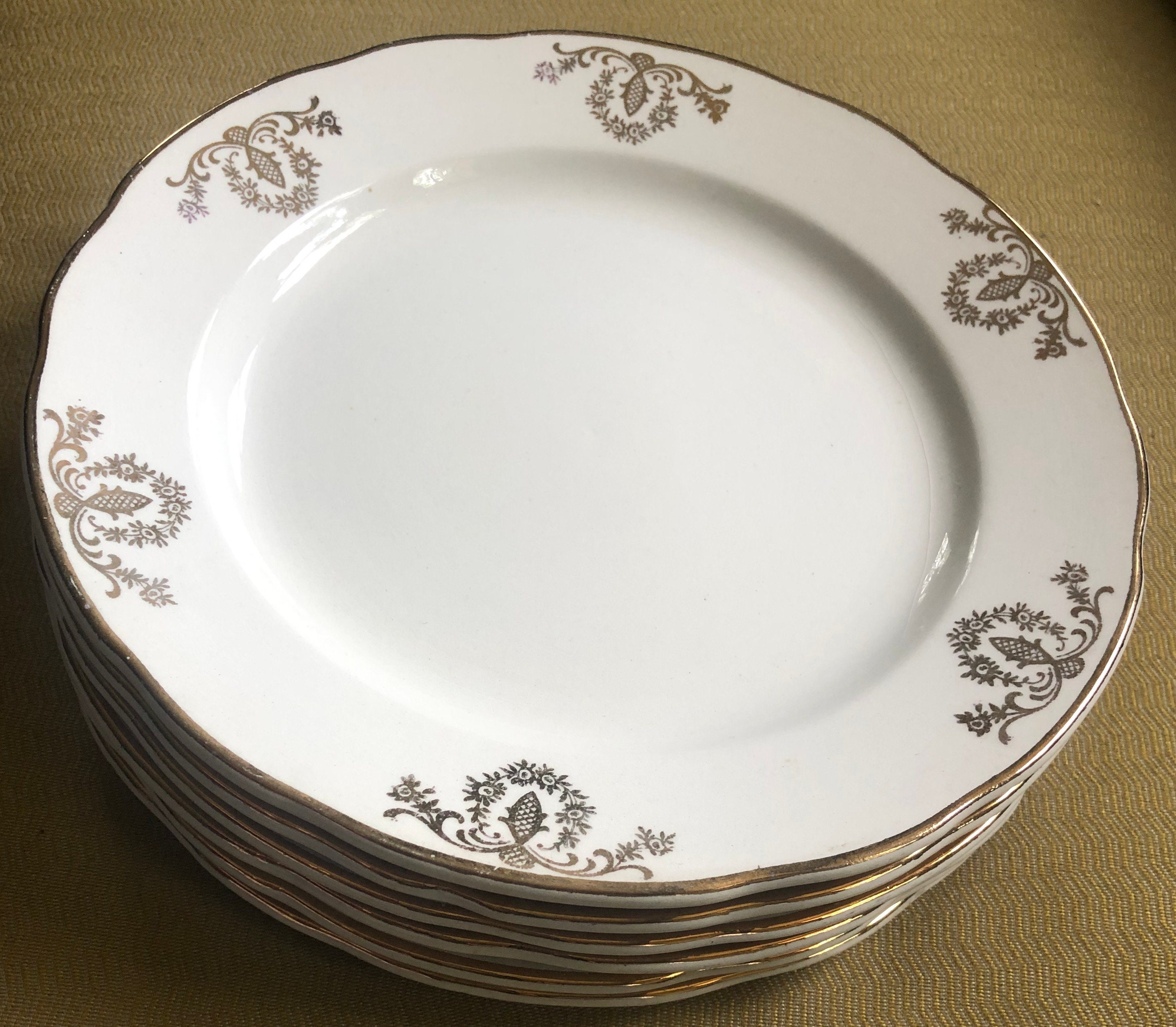 Pagnossin Treviso Terraglia Forte 632 Salad/dessert Plates (6) - Etsy