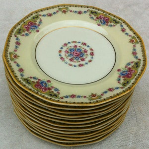 Theodore Haviland Limoges Salad plates (13)