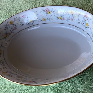 DeLevan by Contemporary Noritake vegetable bowl