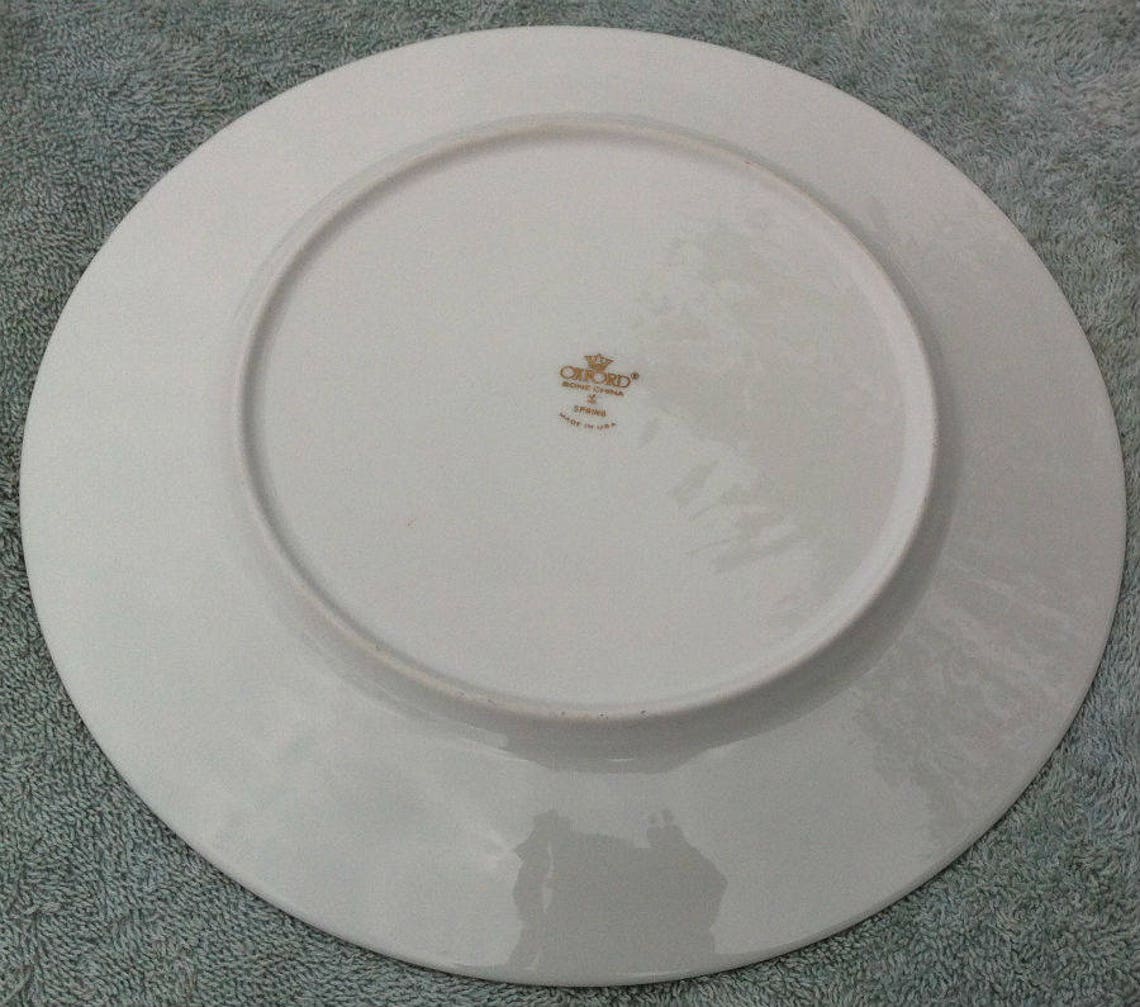 Oxford Bone China Spring Plate Etsy