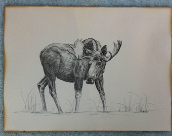 James Jokerst Moose print