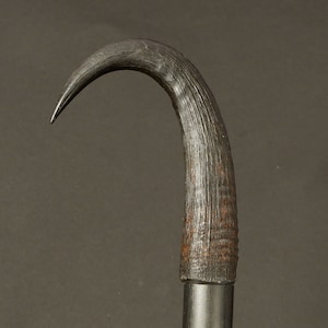 walking stick handle antler chamois 304