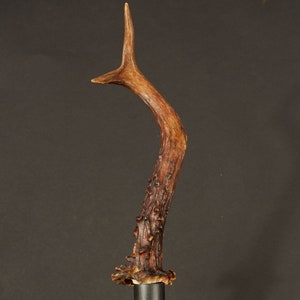 walking stick handle antler deer 301