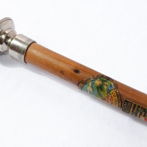 vintage Walking Stick 196 Cane