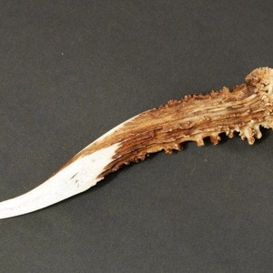 cuchillo Abrecartas asta ciervo