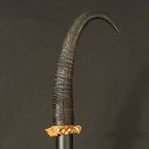 walking stick handle antler chamois 305