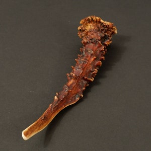 walking stick handle antler deer 303