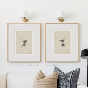 Hummingbirds Pencil Drawing Sketch Prints Set 2 Vintage Style Bird Illustrations - Giclee