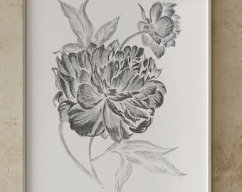 Pfingstrose Graphitstift Zeichnung Druck: Schwarz Weiss Skizze, Blumen Illustration, Florale Wand Kunst - Giclee