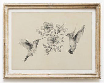Hummingbirds & Hibiscus Flower Drawing Vintage Pencil Sketch Wall Art Print - Giclee
