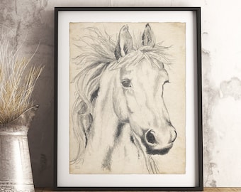 Horse Head Pencil Drawing Print Minimalist Vintage Sketch Farmhouse Animal Wall Art Illustration Giclee