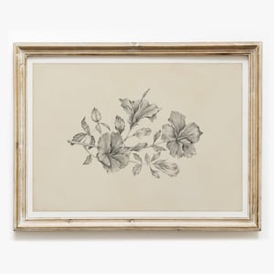 May include: A framed pencil drawing of hibiscus flowers and foliage. The artwork is set against a beige backdrop and presented within a distressed gold-coloured wooden frame. The artist's name and website are visible at the top of the image.