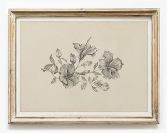 Hibiscus Flower Graphite Drawing Print Vintage Floral Botanical Pencil Sketch Nature Illustration - Giclee