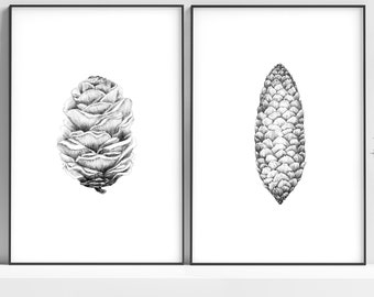 Pinecones Pencil Drawing Prints Set of 2 Black and White Botanical Wall Art Giclee
