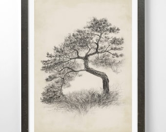 Boomschets Kunstafdruk Vintage Natuur Potloodtekening Botanische illustratie Giclee
