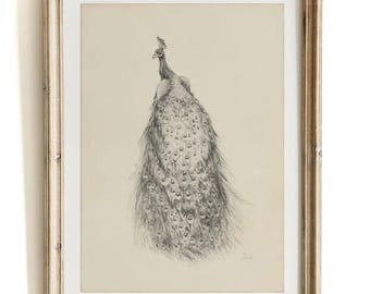 Vintage Peacock Sketch Print Rustic Bird Wall Art Graphite Pencil Drawing - Giclee