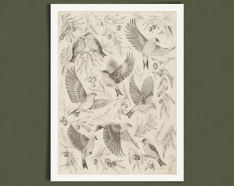Provencal Garden Art Print: Birds & Olive Branches Graphite Pencil Drawing Vintage Style Illustration - Giclee