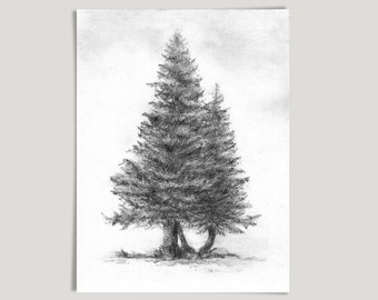 Pine Trees Art, Pencil Drawing Art Print, Black and White Wall Art, Pencil Sketch Art, Forest Nature Art, Paper or Canvas, Printed Shipped