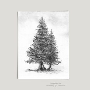Pine Trees Art Print, Pencil Drawing Tree, Black White Wall Art, Vintage Style Sketch, Forest Nature Art, Paper or Canvas, Printed Shipped