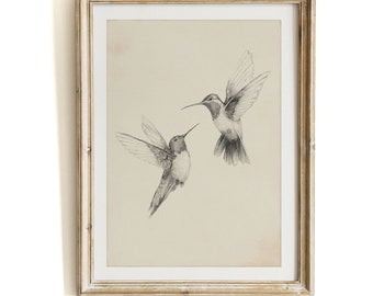 HUMMINGBIRDS Sketch of Birds Art Print, Pencil Drawing Pair of Birds, Vintage Style Creamy Gray Illustration - Giclee Print | Aga Szafranska