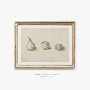 Stampa di frutta - Disegno a matita di pera, mela, kiwi, illustrazione di schizzo in stile vintage, arte murale minimalista della natura - Stampa giclée / Aga Szafranska