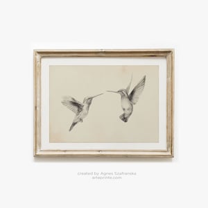 Hummingbirds Sketch, Vintage Style Art Print, Minimalist Graphite Drawing, Creamy Gray Bird Illustration, Sketch of Birds, Printed Shipped