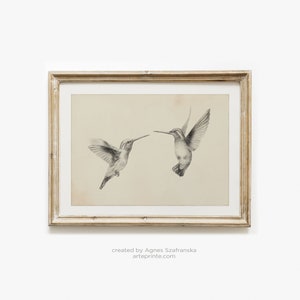 Hummingbirds Sketch, Vintage Style Art Print, Minimalist Graphite Drawing, Creamy Gray Bird Illustration, Sketch of Birds, Printed Shipped