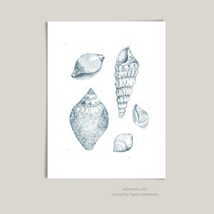 A clean flat lay view of a shells drawing print showing a blue pencil sketch of five detailed seashells on a white paper background, perfect as minimalist wall art.