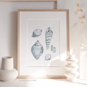 A framed vintage coastal nature illustration with a blue pencil sketch of seashells displayed on a shelf next to modern white vases, creating a minimalist wall art interior styling.