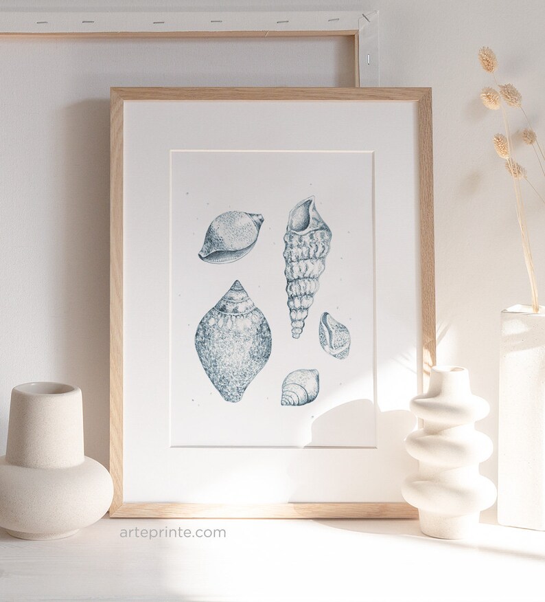 A framed vintage coastal nature illustration with a blue pencil sketch of seashells displayed on a shelf next to modern white vases, creating a minimalist wall art interior styling.