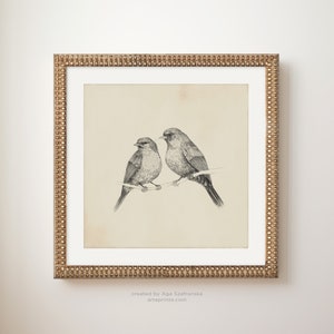 Birds Drawing Pencil Sketch Print Vintage Illustration Pair of Robins Couple Bedroom Decor - Giclee