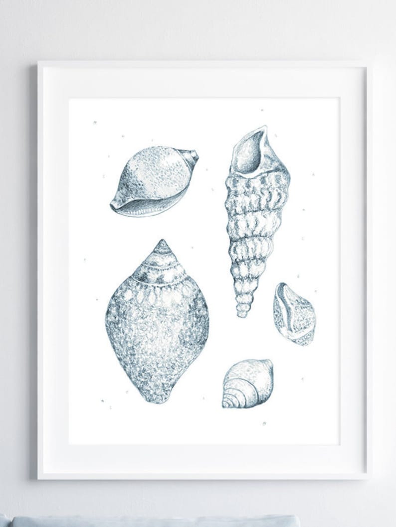 A large minimalist wall art piece of a shells drawing print in a white frame, hanging above a light blue sofa in a bright living room, adding a detailed vintage coastal nature illustration to a modern coastal interior.