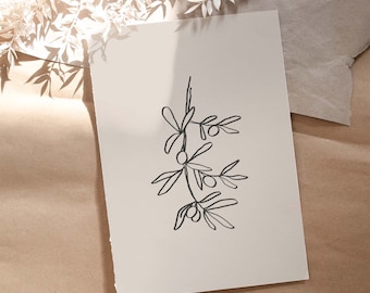 May include: A black and white line drawing of an olive branch with leaves and olives on a white background.