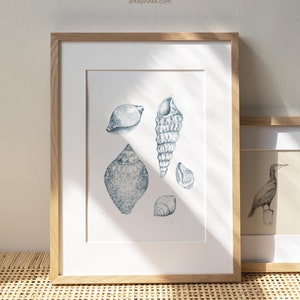 A framed Shells Drawing Print featuring a detailed blue pencil sketch of sea shells, styled in a minimalist oak wood frame on a bohemian rattan sideboard, perfect for vintage coastal nature illustration home decor.