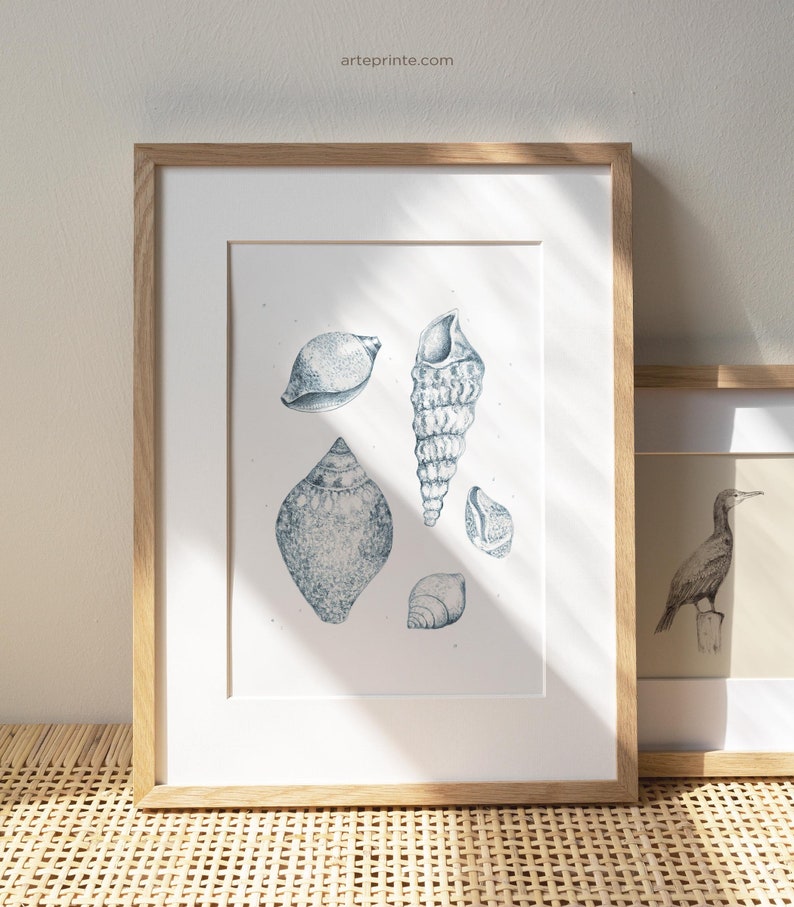 A framed Shells Drawing Print featuring a detailed blue pencil sketch of sea shells, styled in a minimalist oak wood frame on a bohemian rattan sideboard, perfect for vintage coastal nature illustration home decor.