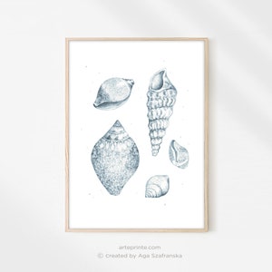 A framed shells drawing print featuring a detailed blue pencil sketch of sea shells. Minimalist wall art in a light wooden frame, ideal for vintage coastal nature illustration home decor.