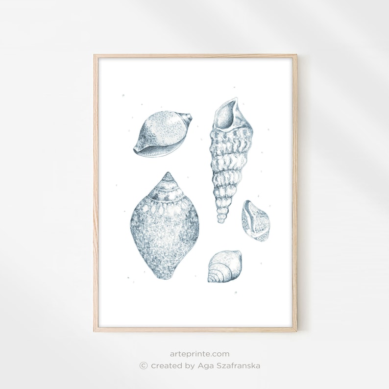 A framed shells drawing print featuring a detailed blue pencil sketch of sea shells. Minimalist wall art in a light wooden frame, ideal for vintage coastal nature illustration home decor.